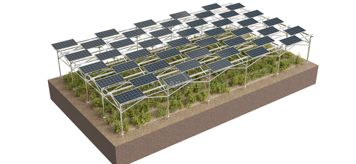#solar mounting for crop production