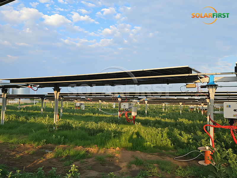 Solução de rastreamento solar plano de eixo único de 20 MWp na Romênia