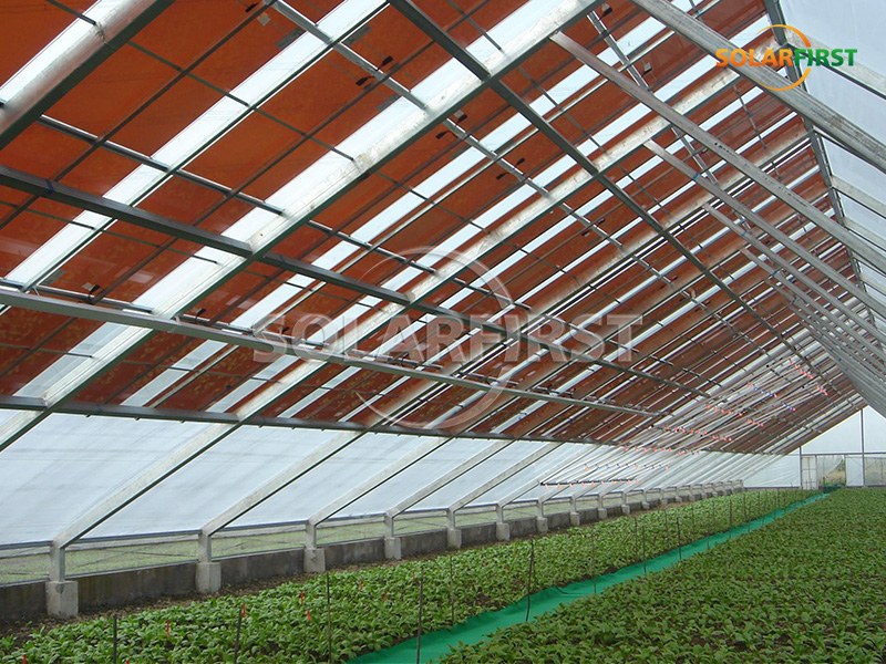 Solução de estufa solar BIPV de 425m² no Reino Unido