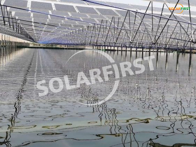 Projeto complementar de pesca-solar de 20mwp em changde, hunan
