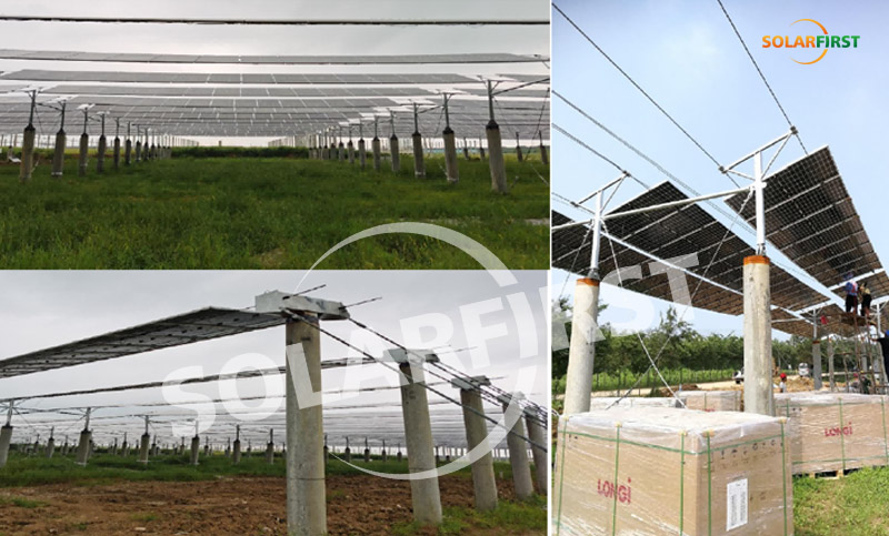 jiangsu hongsi 1mwp cabo de suspensão flexível suporte-projeto complementar agrícola e solar
